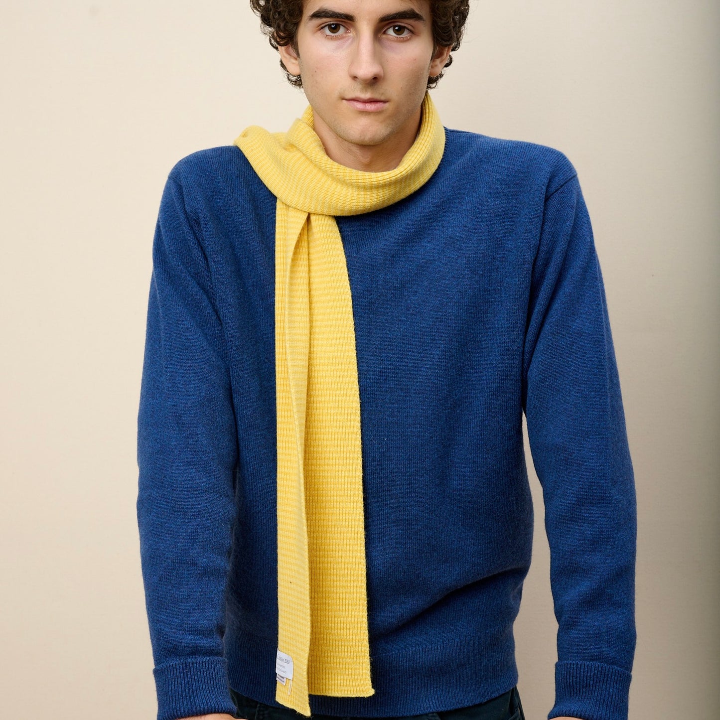 Sunny Days Striped Cashmere Scarf